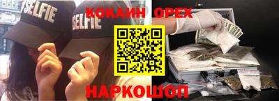 прущие грибы Будённовск