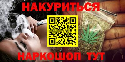 прущие грибы Будённовск