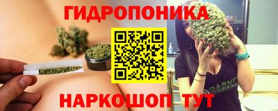 прущие грибы Будённовск