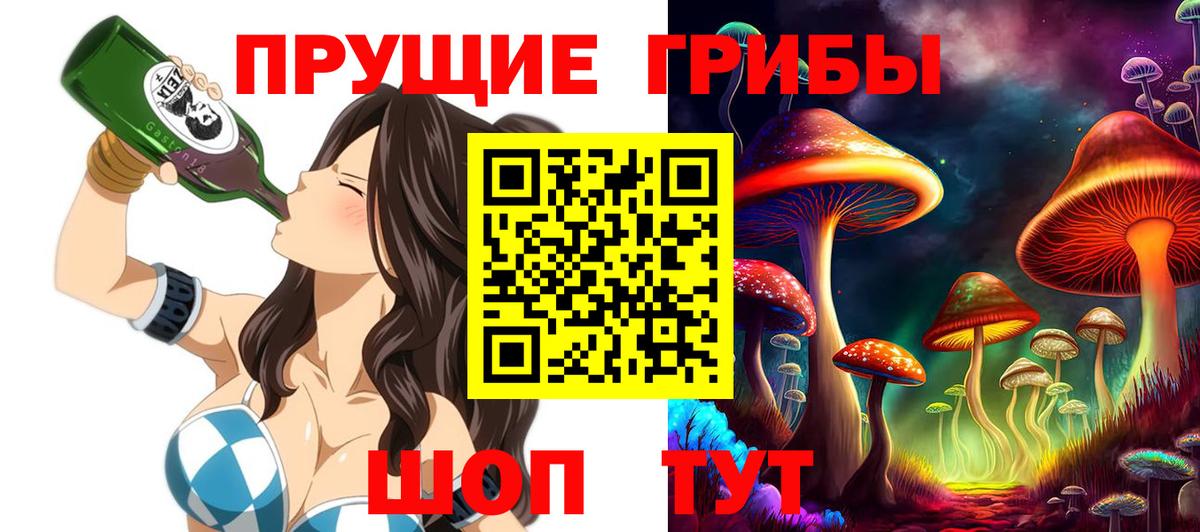 Псилоцибиновые грибы мицелий  Вход с VPN  Псилоцибиновые грибы Psilocybine cubensis  закладки  Морозовск 
